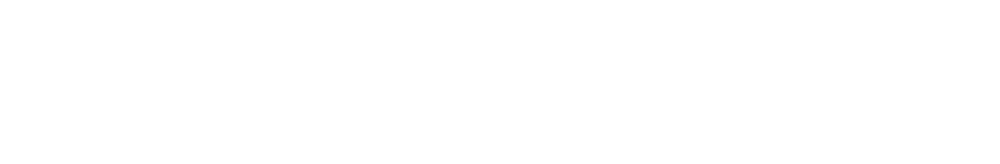 Nesil France
